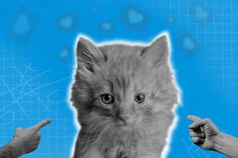 Halftone effect funny cat heads on blue paper background. Trendy retro pet .. Stock Photos