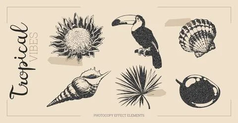 Halftone effect with toucan, seashell, and mango. Illustrazione stock