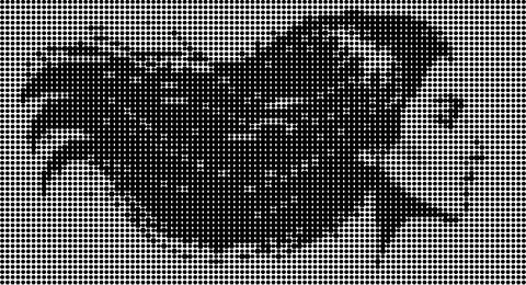 Halftone illustration of a woman's face Stock Illustration
