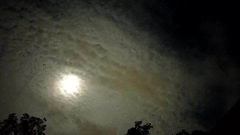 Halftone Moonlight Stock Footage