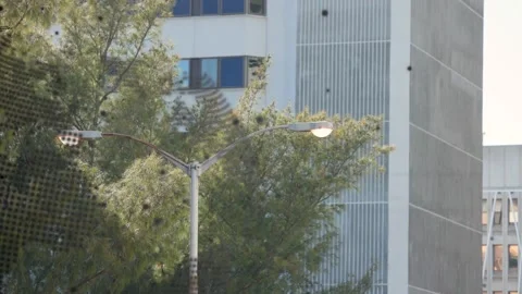 Halftone overlay shifting across tree and building, revealing lamp and fading Stock Footage 333936396