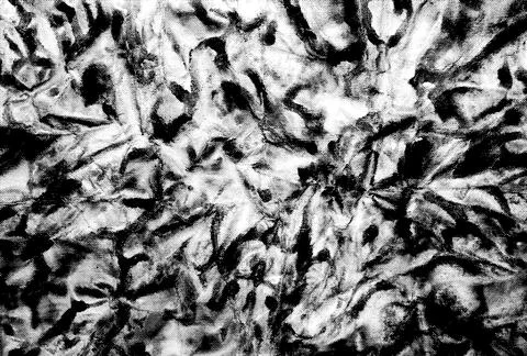 Halftone Paper Texture Background Stock Photos