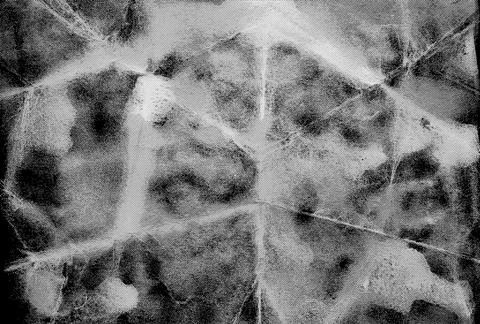 Halftone Paper Texture Background Stock Photos