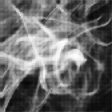 Halftone Pattern. Set of Dots. Dotted Texture on White Background. Overlay Stock Illustration