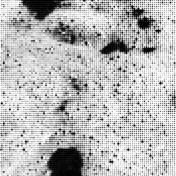 Halftone Pattern. Set of Dots. Dotted Texture on White Background. Overlay .. Stock Illustration
