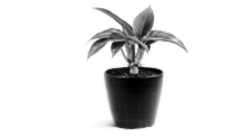 Halftone Plant Design Background. Stylish isolated office plants and flowerpots Stock Illustration