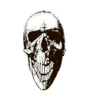 Halftone skull. Design element. Invitation, party. Mosaic, perforation, grung イラスト素材