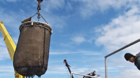 Halibut Bucket and Crane 스톡 동영상 8564155