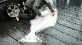 Halibut fillet on deck Seward Alaska marina P HD 8241 HD Footage