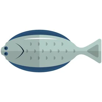 Halibut fish vector illustration isolated on white Stock Illustration