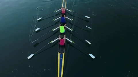 Halifax Bay Morning Rowing Session With Four Athletic Women, Drone Overhead Shot Video stock 317901236