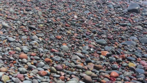 Halifax, Nova Scotia, Canada Video stock 91771101