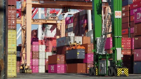 Halifax Port Terminal With Containers Cranes And Cargo Ships Canada Stock Footage 320360134