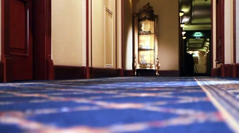 Hall Vídeo Stock 8835808