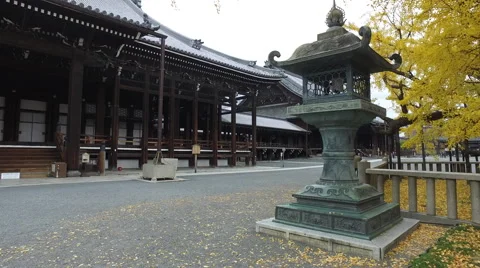 Hall, Lantern, and Ginkgo Tree at Temple in Kyoto, Japan Stock Footage 58796465