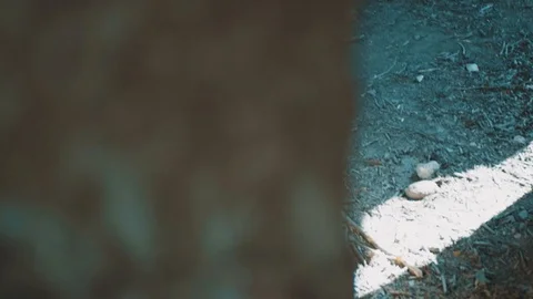 Hall of Old Dilapidated Tower Ruin | HD Stock Footage 88323853