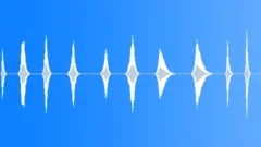 Hall Whoosh Pack Sound Pack (10 Items) Sound Effect