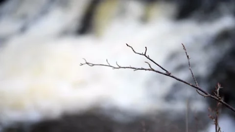 Hallamölla water fall, winter, Skåne, Sweden Stock Footage 221583450