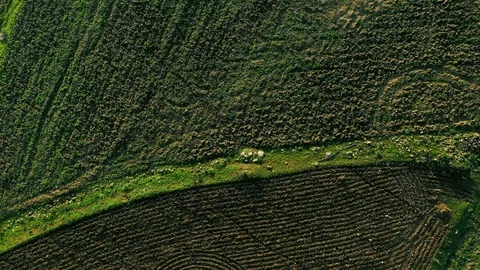 Haller Tornello Stockbeeldmateriaal 97324478