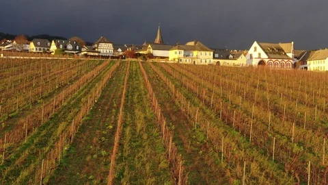 Hallgarten Stockbeeldmateriaal 101197718