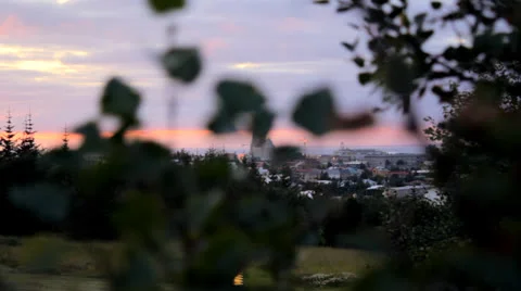 Hallgrímskirkja behind leaves Stock-Footage 26569823