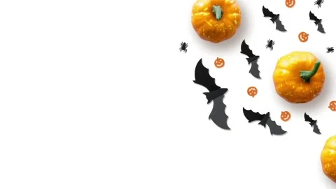 Halloween Animated Corner Border with Pumpkins, Bats, and Spiders Stock Footage 316764538