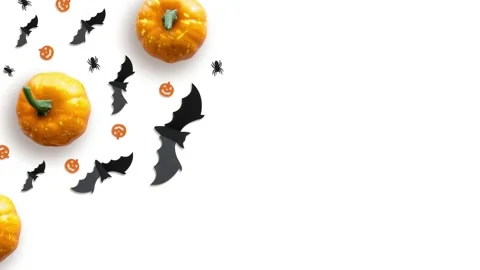 Halloween Animated Scene with Pumpkins, Bats, and Spiders on White Background Stock Footage 316764553