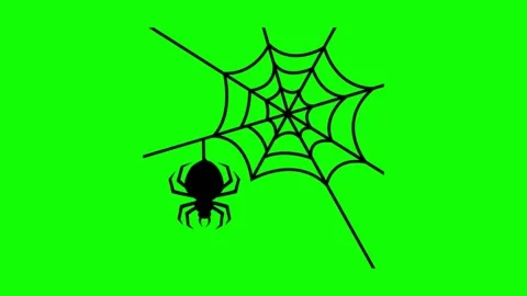 Halloween animations, spider  Stock Footage 197364609