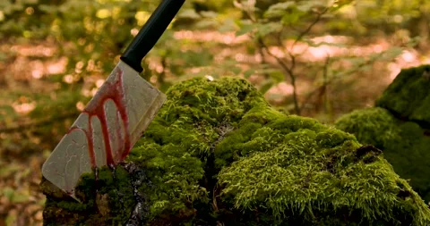 Halloween atmosphere with a cleaver knife in the forest Stock-Footage 287911684