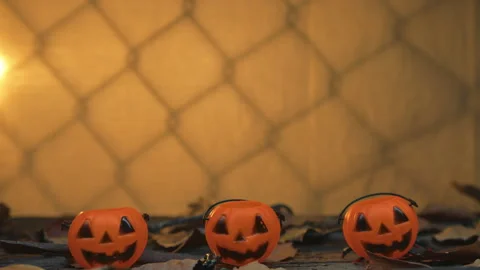 Halloween Background And Copy Space Stock Footage 317616958