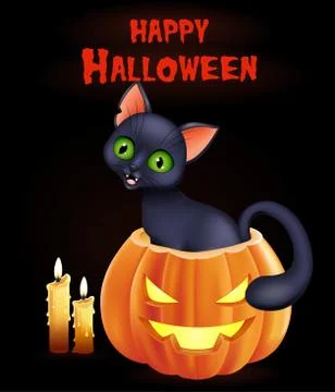 Halloween background with cat sitting inside pumpkin Stock Illustration