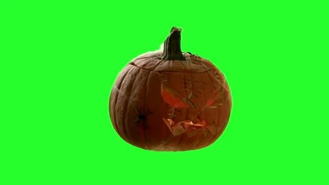 Halloween Background Element On Chroma Key Pumpkin With A Spooky Face Carving Stock Footage 140272873