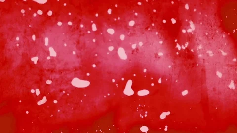 Halloween  background Vídeos de archivo 77517680