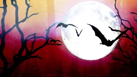 Halloween  background Stock Footage 81507259