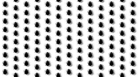 Halloween Background Grid of Crawling Black Bugs and Beetles Pattern Motion.. Stock Footage 345041656