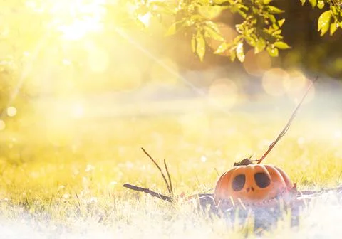 Halloween background, Jack-o'-lantern pumpkin lying on the grass in fog, among Stock Photos