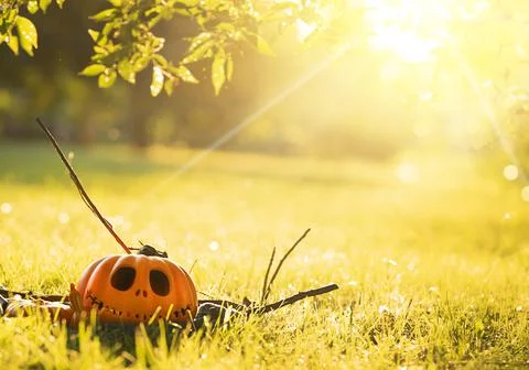 Halloween background, Jack-o'-lantern pumpkin lying on the grass in fog, among Stock Photos