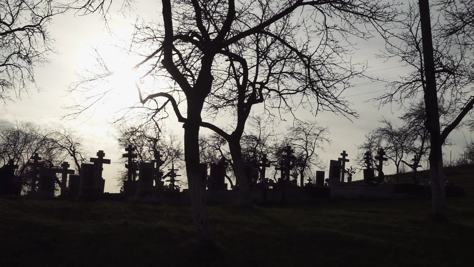 Halloween background. Old Graveyard with... | Stock Video | Pond5