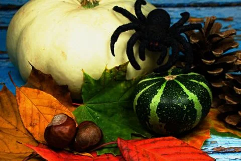 Halloween background Stock Photos