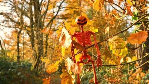 Halloween background. Pumpkin skeleton on an oak branch Stock Footage 313889245