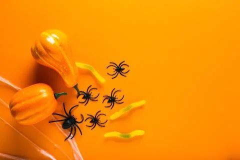Halloween background with pumpkins,candy worm, spider web and spiders as symbols Stock Photos