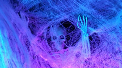 Halloween background. Skeleton in a web in pink and blue light. Stock Footage 318551092