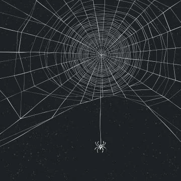 Halloween background with spider and web 스톡 일러스트