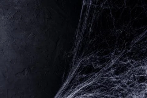 Halloween background with spider web on the black background. Happy Hallowe.. Stock Photos