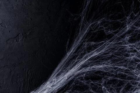 Halloween background with spider web on the black background. Happy Hallowe.. Stock Photos