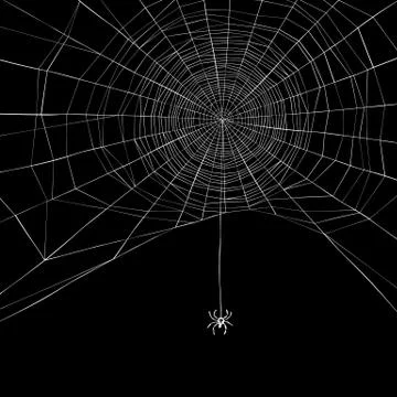 Halloween background. Spider web. Vector illustration Illustrazione stock