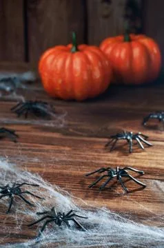 Halloween background with spiders on rustic wooden background covered with sp Stock Photos