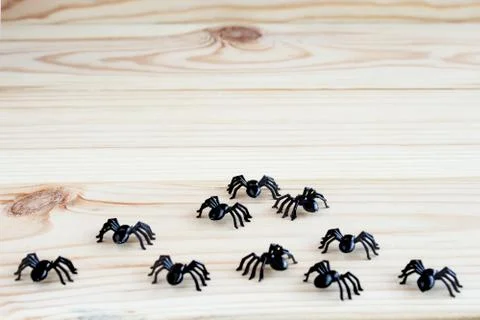 Halloween background. Spiders on a wooden background. Copy space for text. Stock Photos