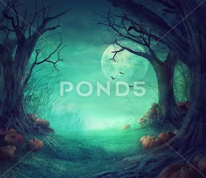 Halloween background. Spooky forest with dead trees and pumpkins.Halloween de Stock Illustration