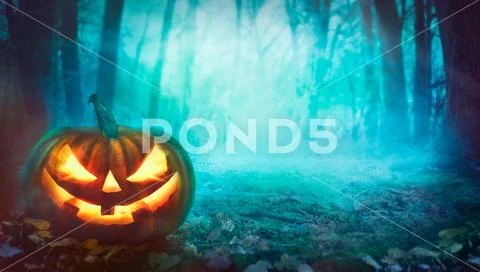 Halloween background. Spooky forest with dead trees and pumpkin.Halloween des Stock Illustration